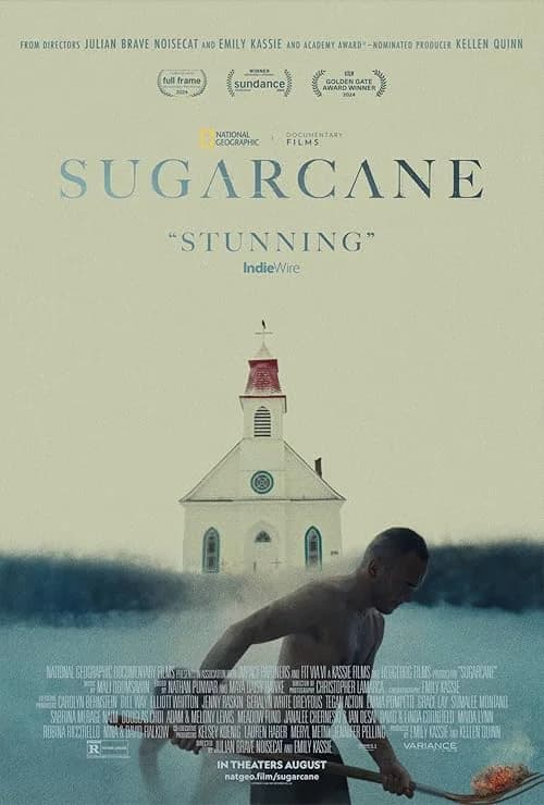 Sugarcane film posteri
